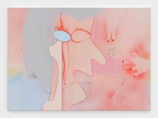 Julien Meert Untitled, 2026 Acrylic, pencil and soft pastel on canvas 71 x 100 cm. 28 x 39 3/8 in.