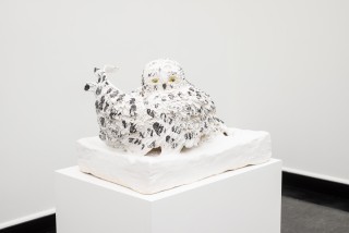 Peter wachtler owl