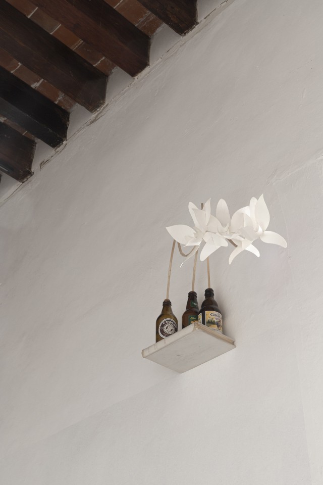 2022 Las rodillas del cipres Museo de la Ciudad Queretaro 1 High Res copie