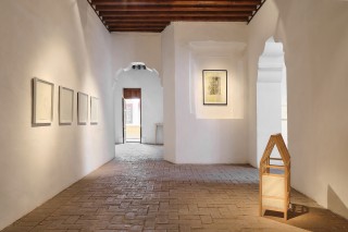 2022 Las rodillas del cipres Museo de la Ciudad Queretaro 4 Sergio Lopez Photo copie