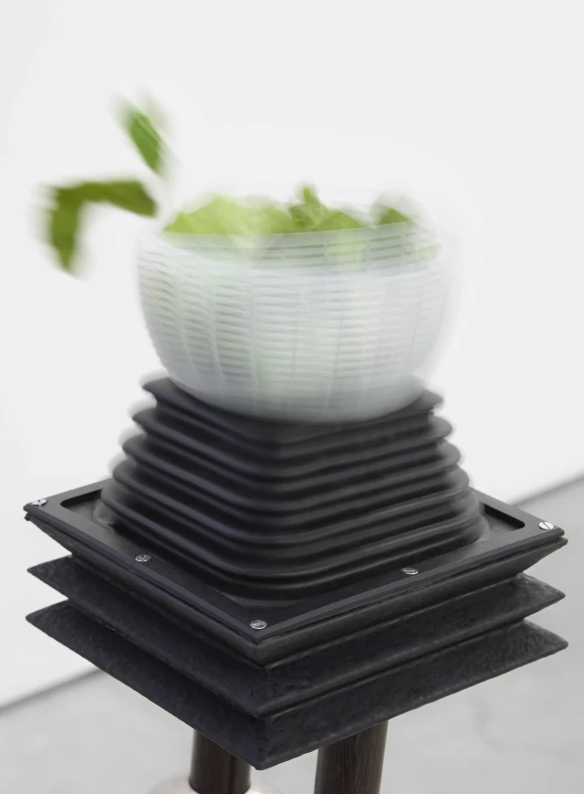 Meriem Bennani - SALAD SHAKE - Lodovico Corsini Gallery