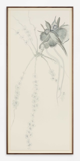 1 JBAR2505006 web