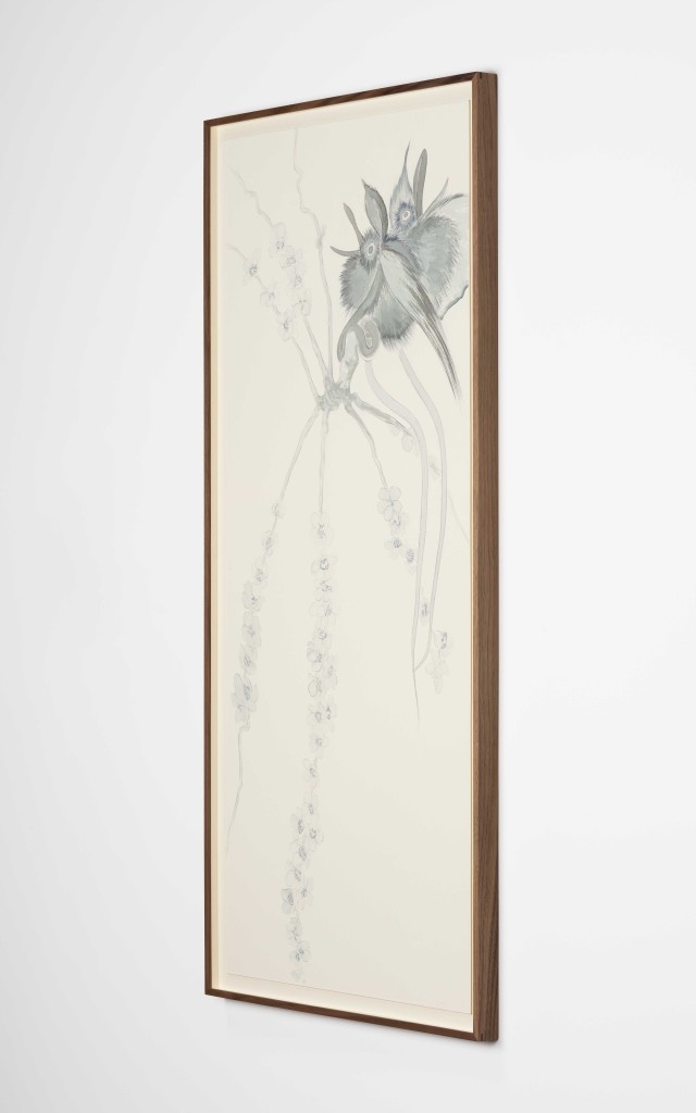 2 JBAR2505006 web