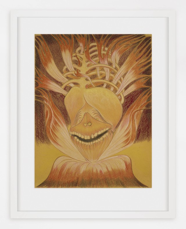 Javier Barrios_pastel on paper