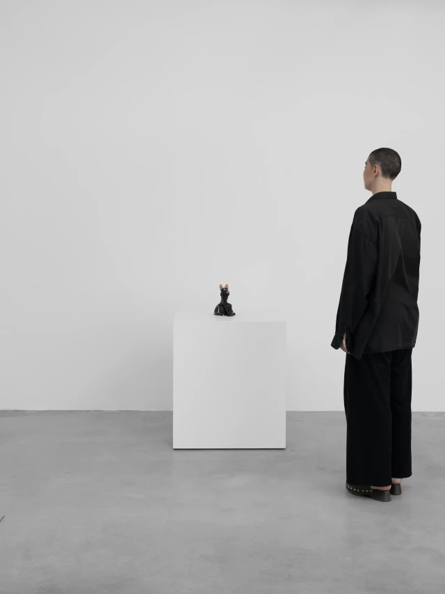 Daisy Sheff - Cat - Lodovico Corsini Gallery