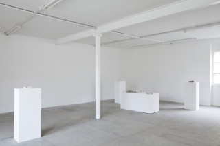 Calvin Marcus 22 copie