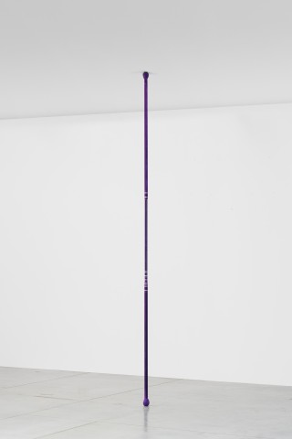 Chadwick Rantanen Telescopic Pole [TopGlides/Distressed Purple], 2015 Anodized aluminum, plastic, walkerballs Dimensions variable  (from 260 - 800 cm. // 102 to 315 in.)
