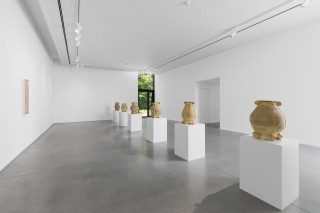 MDD Calvin Marcus UAS 8412