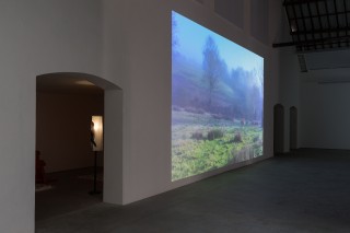 12 lili reynaud dewar lady to fox clearing brussels 2018 low copie