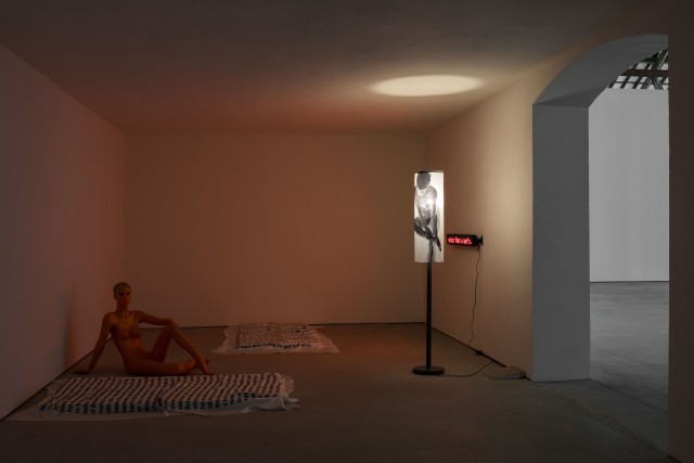 13 lili reynaud dewar lady to fox clearing brussels 2018 low copie