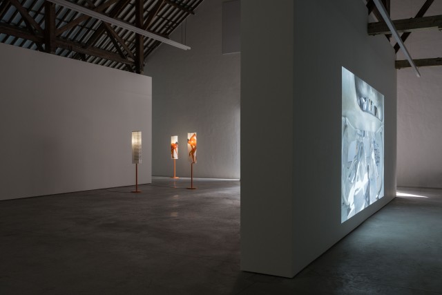 16 lili reynaud dewar lady to fox clearing brussels 2018 low copie