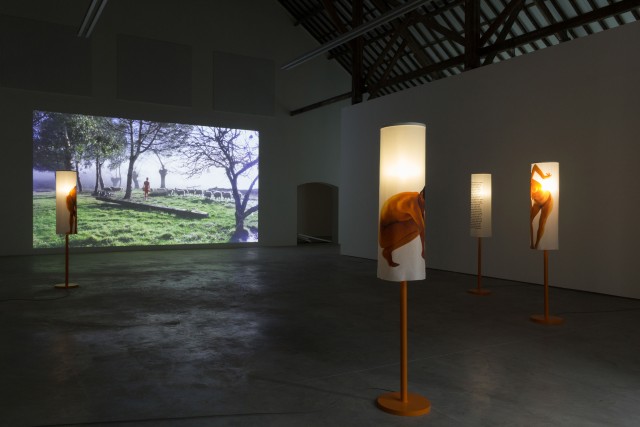 2 lili reynaud dewar lady to fox clearing brussels 2018 low copie