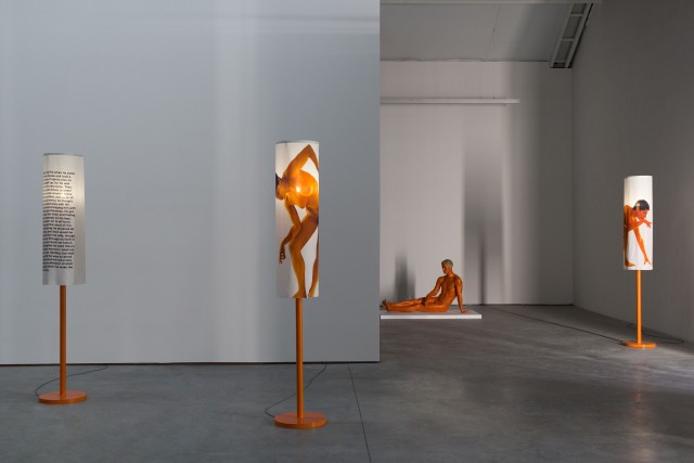 20 lili reynaud dewar lady to fox clearing brussels 2018 low copie