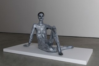 25 lili reynaud dewar lady to fox clearing brussels 2018 low copie