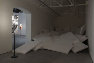 26 lili reynaud dewar lady to fox clearing brussels 2018 low copie