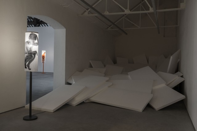 26 lili reynaud dewar lady to fox clearing brussels 2018 low copie