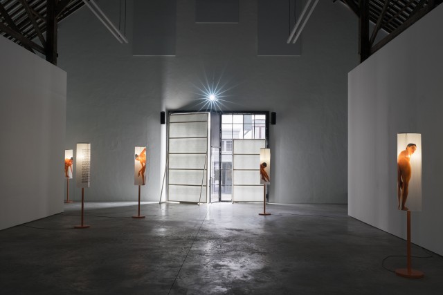 27 lili reynaud dewar lady to fox clearing brussels 2018 low copie