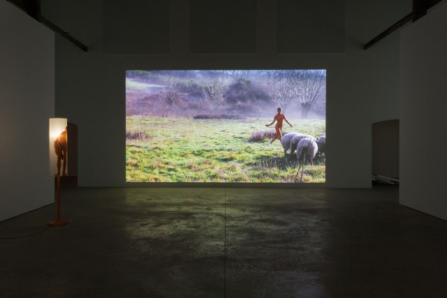 3 lili reynaud dewar lady to fox clearing brussels 2018 low copie