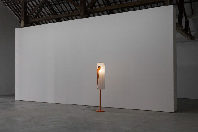 4 lili reynaud dewar lady to fox clearing brussels 2018 low copie