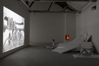 7 lili reynaud dewar lady to fox clearing brussels 2018 low copie