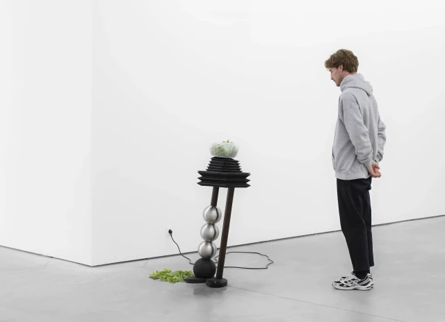 Meriem Bennani - SALAD SHAKE - Lodovico Corsini Gallery