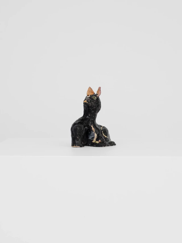 Daisy Sheff - Cat - Lodovico Corsini Gallery
