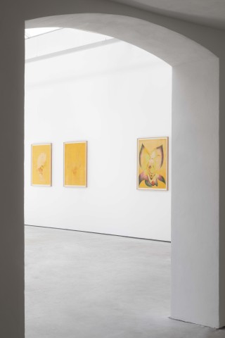 14 OFFERINGSTOTHENOCTURALHOURS web