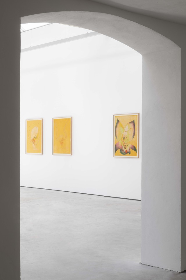 14 OFFERINGSTOTHENOCTURALHOURS web