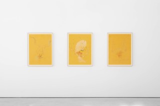 17 OFFERINGSTOTHENOCTURALHOURS web