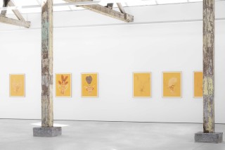 22 OFFERINGSTOTHENOCTURALHOURS web