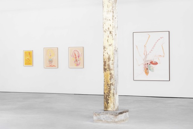 5 OFFERINGSTOTHENOCTURALHOURS web