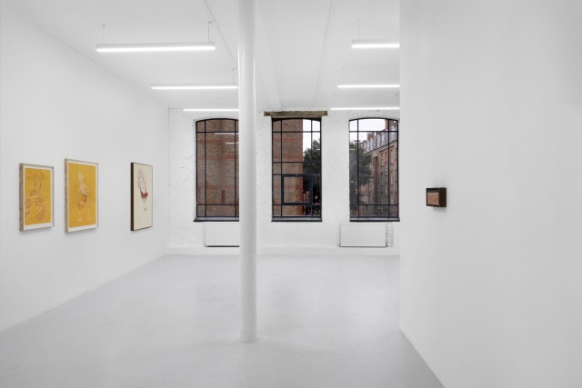 NI7 0807 medium res scaled