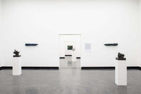 Image processing20210420 4 wavikf copie