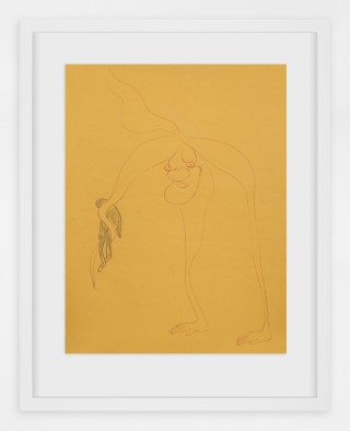 The Drawing Center Phragmipedium tripod with Corpse 2021 Sanguine and pastel on paper 48 x 35 cm framed