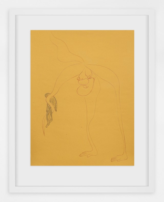 The Drawing Center Phragmipedium tripod with Corpse 2021 Sanguine and pastel on paper 48 x 35 cm framed