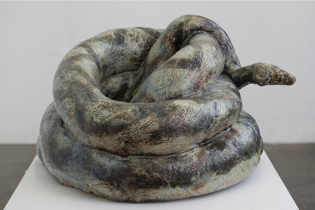 PWAC2504005 image (1)