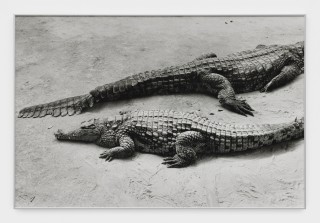 Alassan Diawara Untitled, 2026 Baryta print 120 x 80 cm. 47 1/4 x 31 1/2 in. Ed. 5 + 2 AP