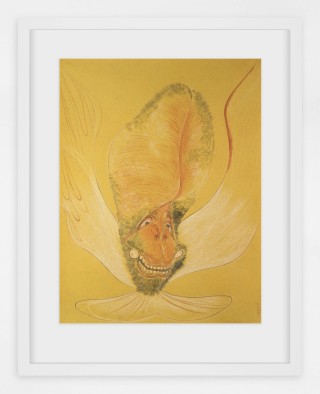 Javier Barrios_pastel on paper