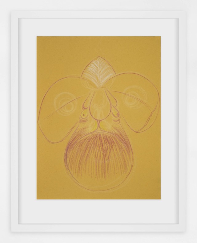 Javier Barrios_pastel on paper