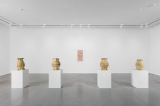 MDD Calvin Marcus UAS 8360