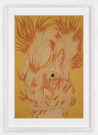 The Drawing Center Soldado Medusae II 2021 Pastel sobre papel 35 x 24 cm framed copie 1 copie