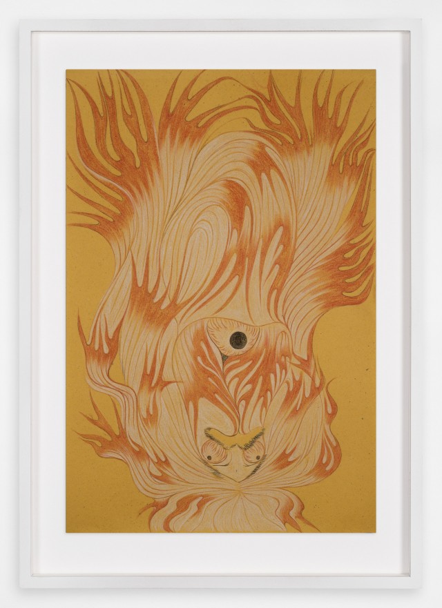 The Drawing Center Soldado Medusae II 2021 Pastel sobre papel 35 x 24 cm framed copie 1 copie