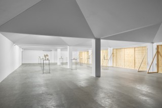 24GRAYSC Simian Peter A4 22 copie