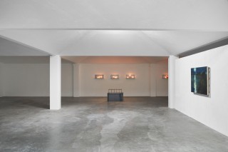 24GRAYSC Simian Peter A4 31 copie