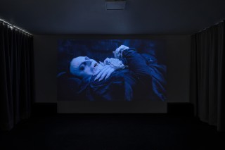 24GRAYSC Simian Peter A4 46 copie