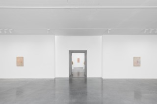 MDD Calvin Marcus UAS 8527 Revised