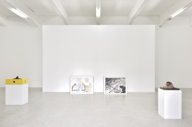 PeterWachtler avantapres ConsortiumMuseum2024 PhotoRebeccaFanuele DSC2290 copie