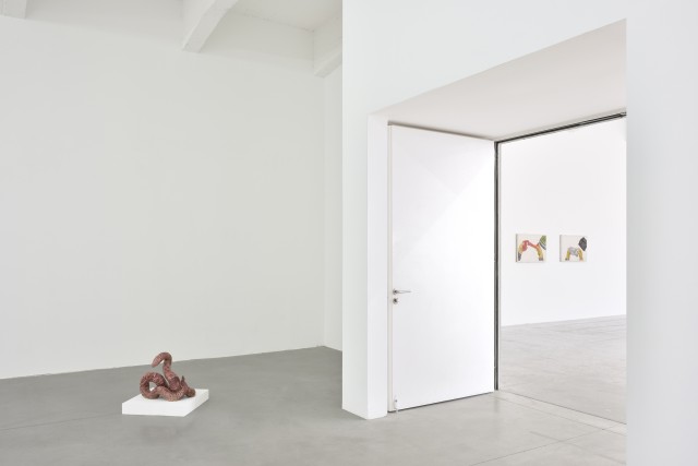 PeterWachtler avantapres ConsortiumMuseum2024 PhotoRebeccaFanuele DSC2323 copie