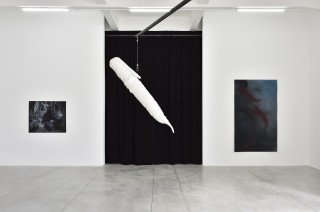 PeterWachtler avantapres ConsortiumMuseum2024 PhotoRebeccaFanuele DSC2471 copie