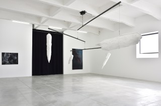 PeterWachtler avantapres ConsortiumMuseum2024 PhotoRebeccaFanuele DSC2482 copie